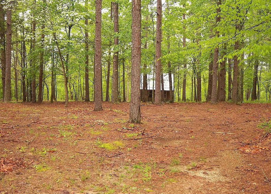 40 Copperas Branch Road Leoma, TN 38468 - Photo 8 of 10 Gallery Image 8