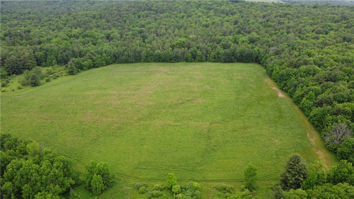 127 White Store Road Norwich, NY 13815 - Photo 5 of 8
