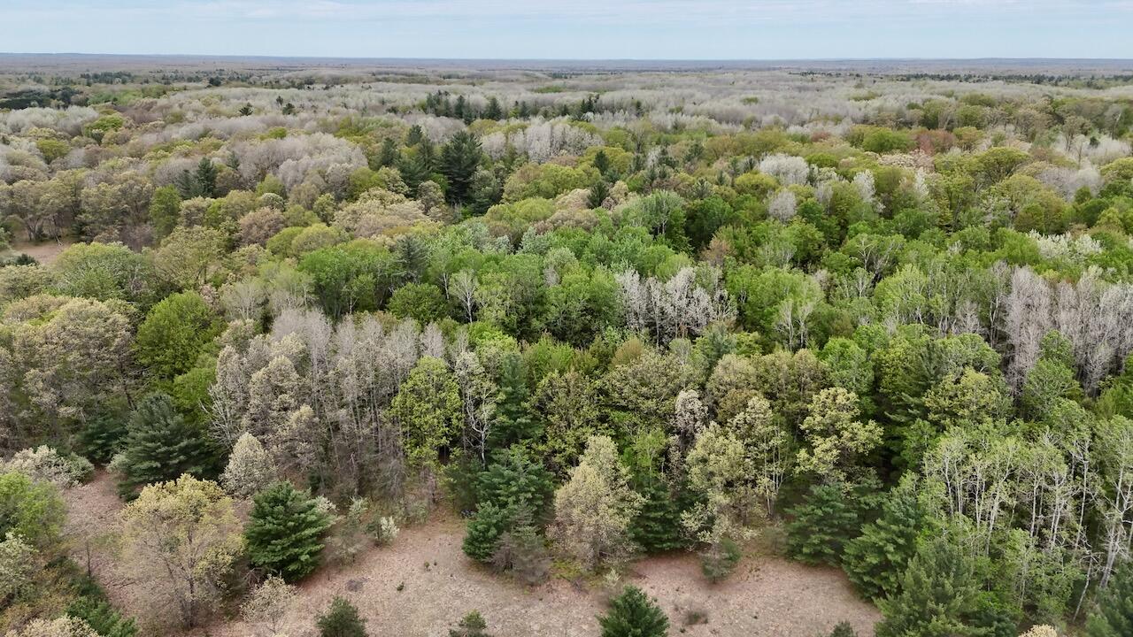 6153 South Branch Road Branch, MI 49402 - Photo 37 of 70 30