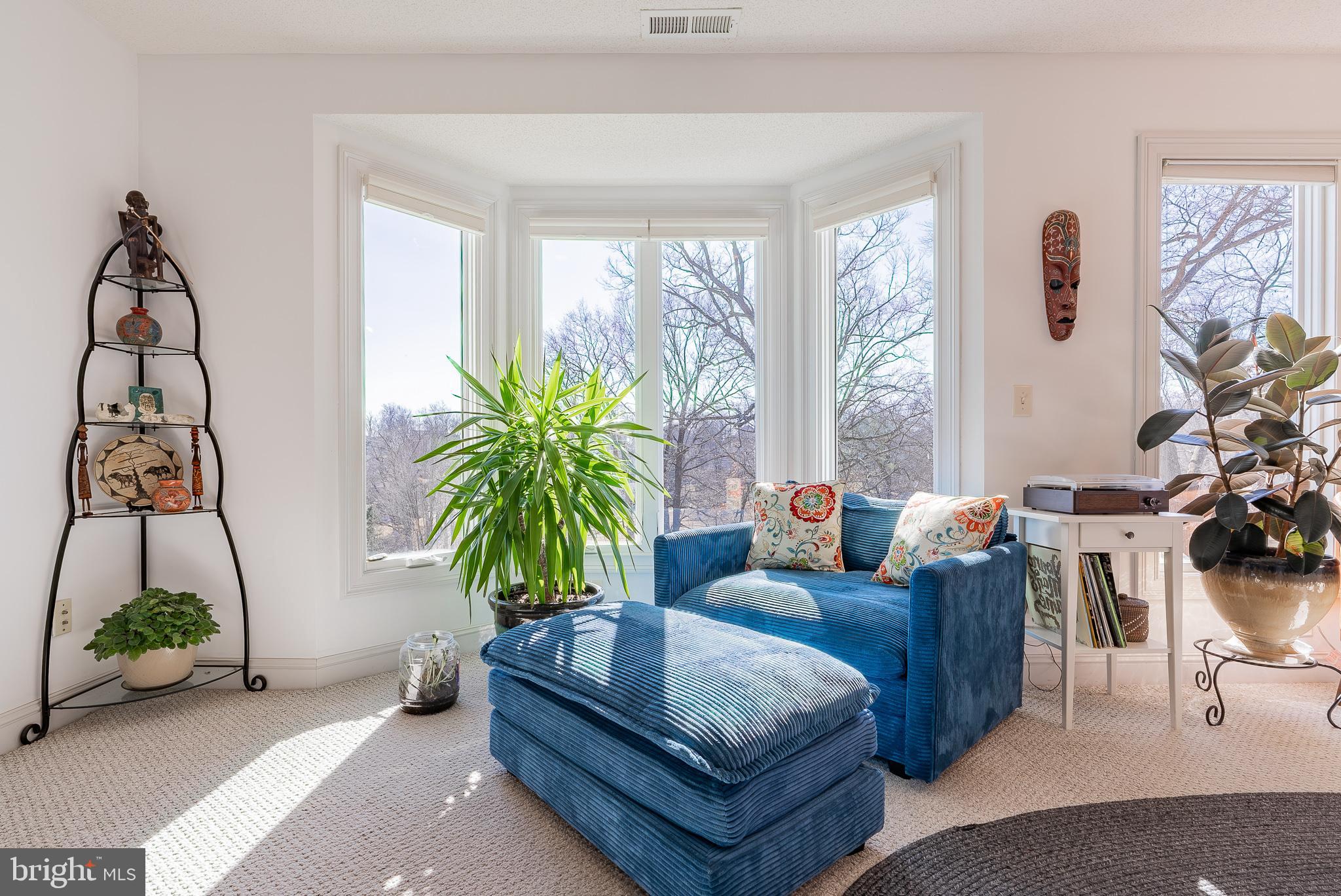 3741 Davis Road Penn Laird, VA 22846 - Photo 18 of 93 a living room with furniture and a potted plant