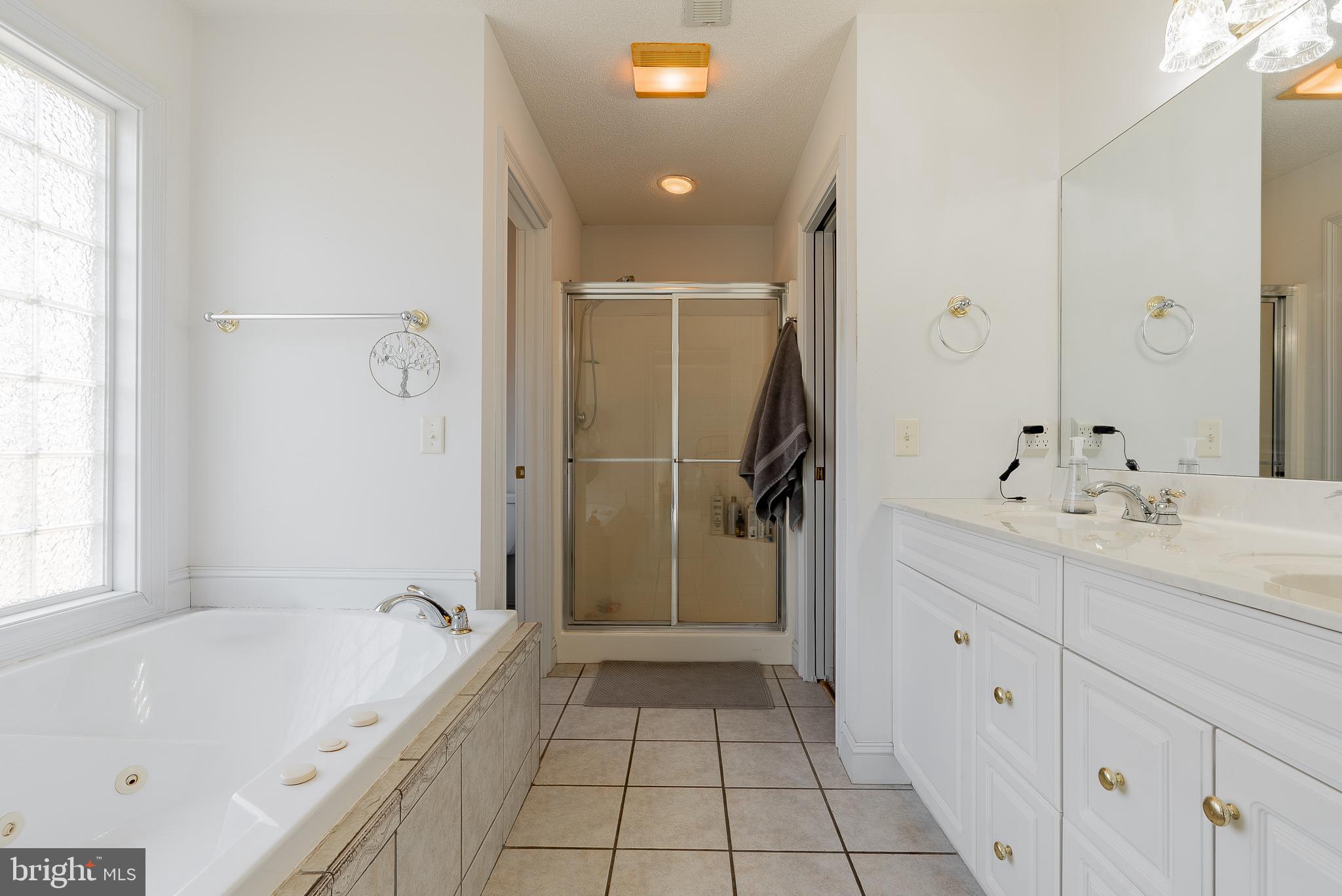 3741 Davis Road Penn Laird, VA 22846 - Photo 33 of 93 Primary Bathroom