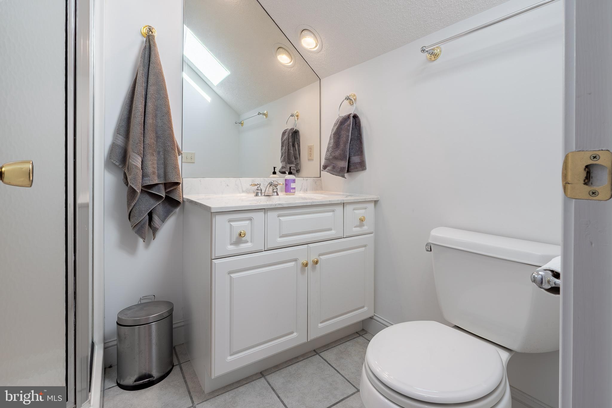 3741 Davis Road Penn Laird, VA 22846 - Photo 49 of 93 a bathroom with a toilet a sink and vanity