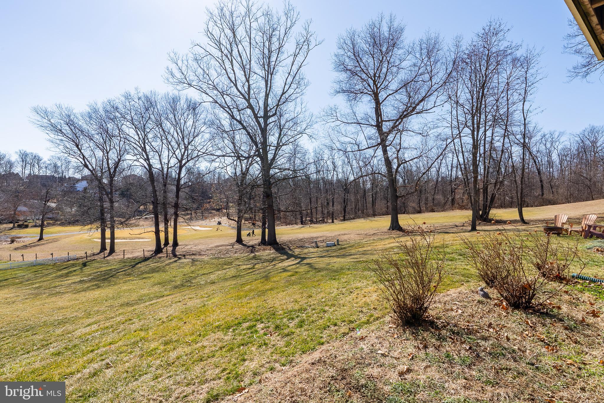 3741 Davis Road Penn Laird, VA 22846 - Photo 79 of 93 a view of yard with trees