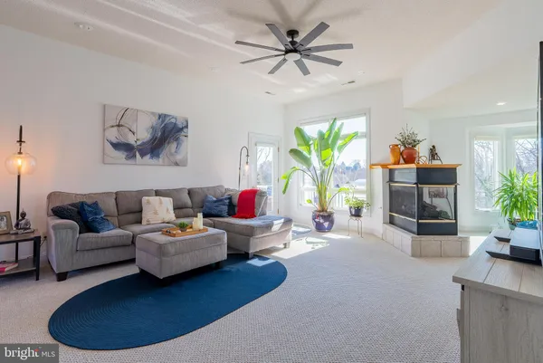 a living room with furniture potted plant and a large window