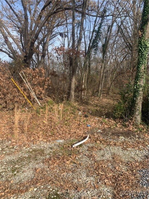 0 Beech Street Hopewell, VA 23860 - Photo 2 of 2