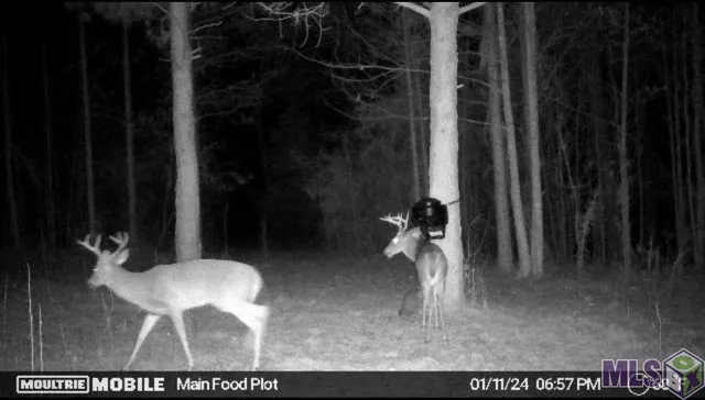 $90,000 | 4155 Sterling Lane, Liberty, MS 39645