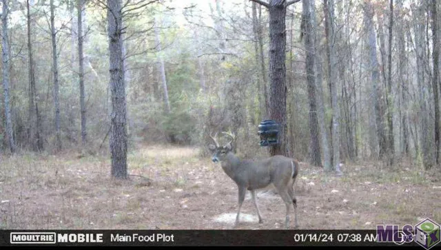 $90,000 | 4155 Sterling Lane, Liberty, MS 39645