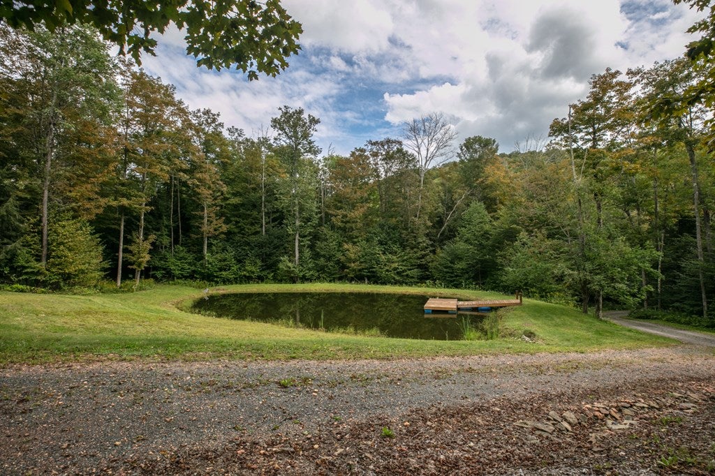 91 South Elk Run Road Wellsboro, PA 16901 - Photo 54 of 75 Gallery Image 54