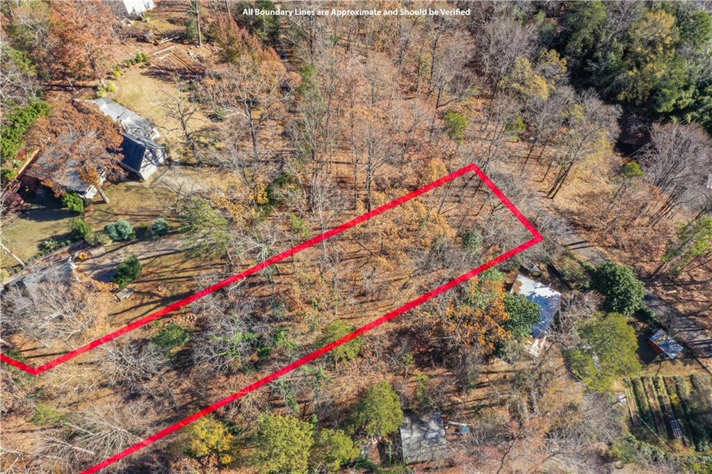 3442 Jet-Wright Road Gainesville, GA 30506 - Photo 11 of 15 a view of a park with large trees and plants