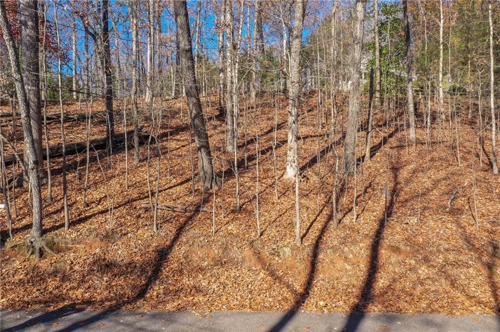 3442 Jet-Wright Road Gainesville, GA 30506 - Photo 14 of 15 a picture of a door