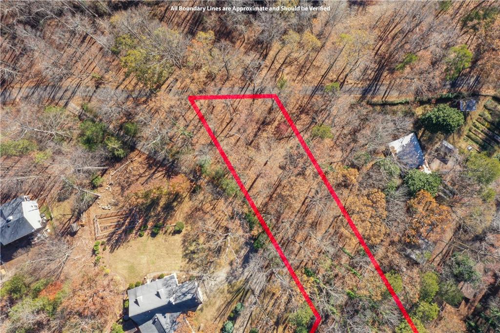 3442 Jet-Wright Road Gainesville, GA 30506 - Photo 7 of 15 a close up of a palm trees