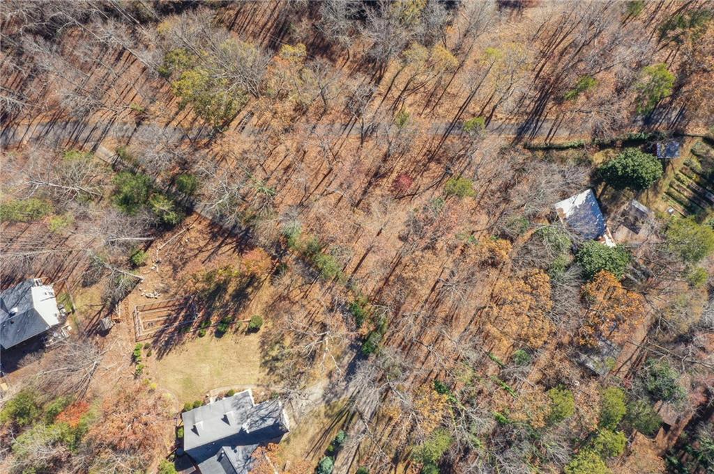 3442 Jet-Wright Road Gainesville, GA 30506 - Photo 8 of 15 a view of a yard with plants and trees