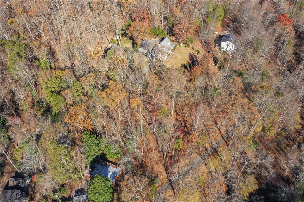 3442 Jet-Wright Road Gainesville, GA 30506 - Photo 10 of 15 a view of a plants