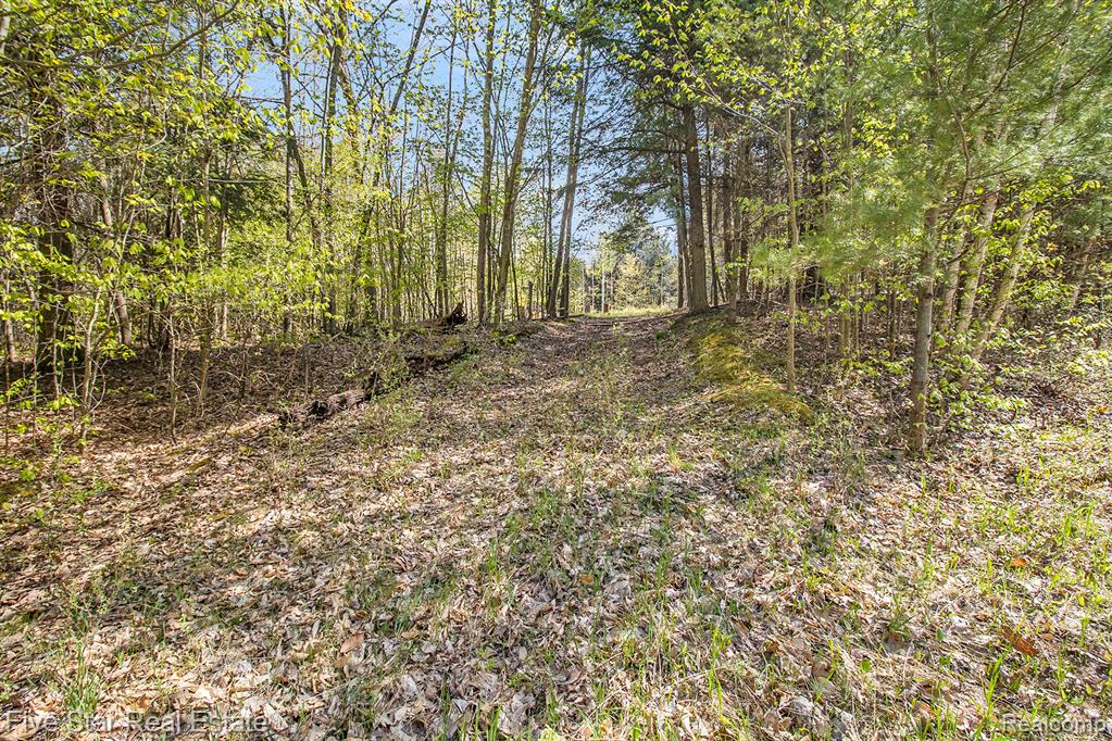 0 Smith Road Onekama, MI 49675 - Photo 20 of 23