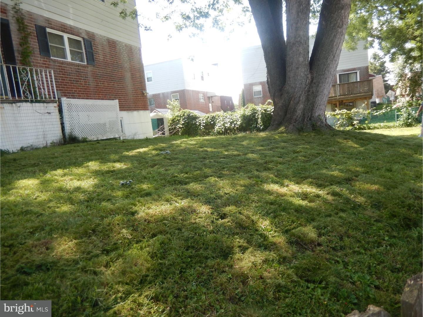 9911 Sandy Road Philadelphia, PA 19115 - Photo 3 of 19 Side Yard