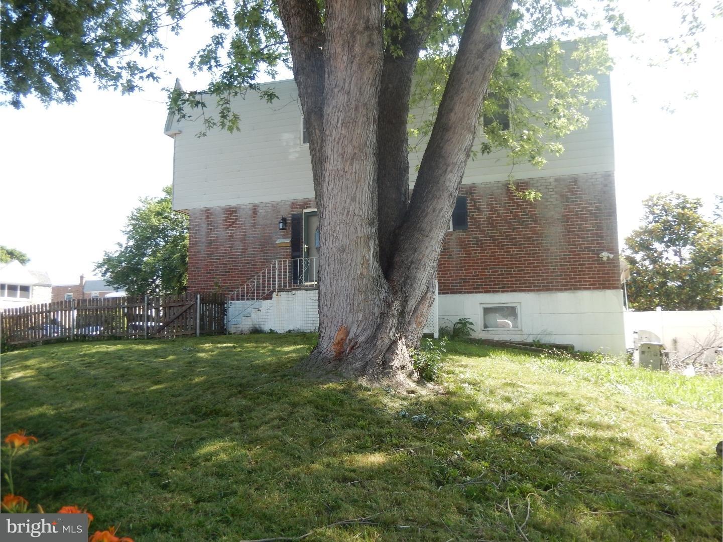 9911 Sandy Road Philadelphia, PA 19115 - Photo 4 of 19 Side Yard