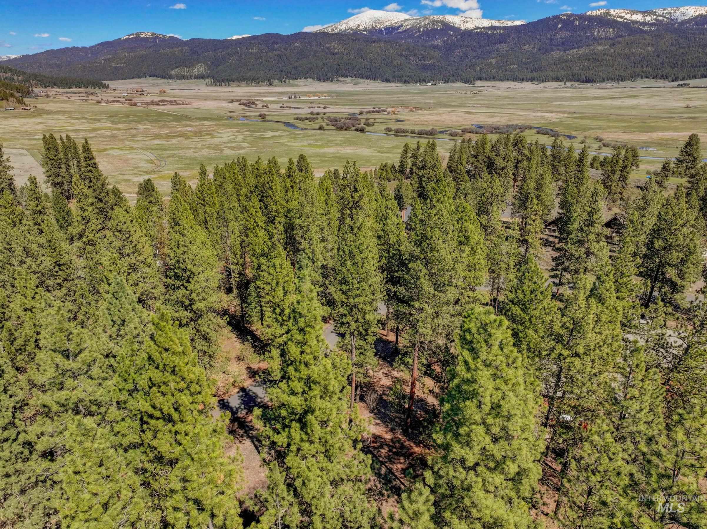 Lot 27 Hot Springs Road New Meadows, ID 83654 - Photo 17 of 23