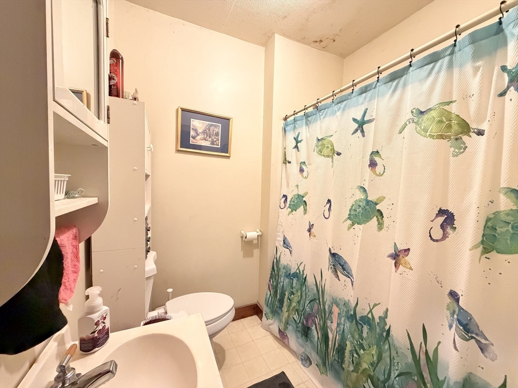 12 Whitcomb Street Webster, MA 01570 - Photo 34 of 40 a bathroom with a sink a toilet and shower curtain