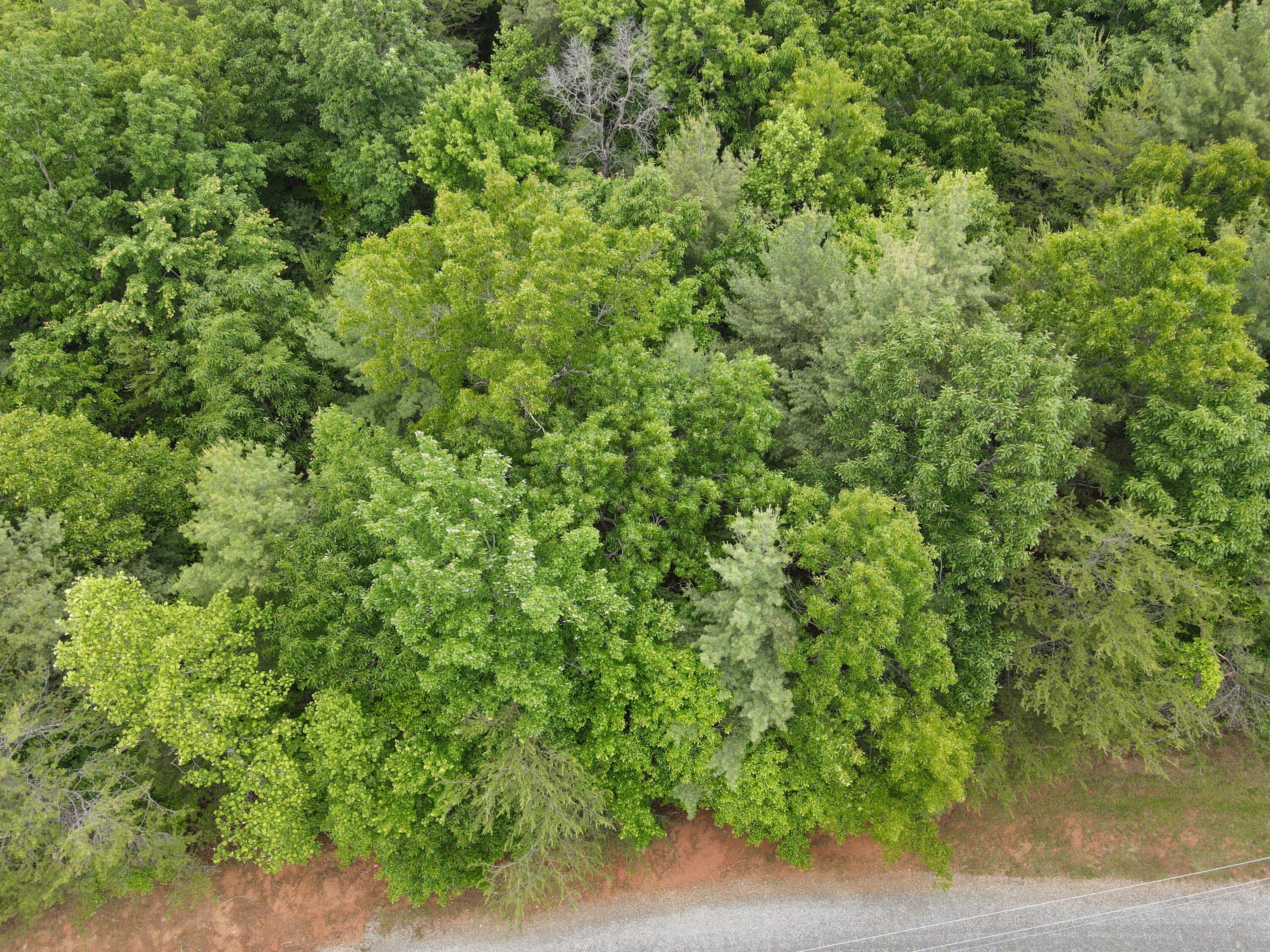 0 Hatchet Ridge Lane Callaway, VA 24067 - Photo 3 of 6 dji_fly_20230516_115130_164_168425230493