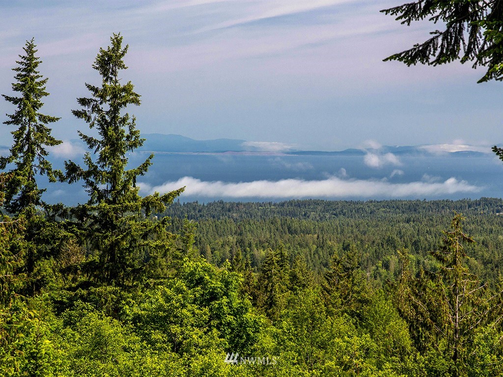 4235 Mt Pleasant Road Port Angeles, WA 98362 - Photo 21 of 25 Gallery Image 21