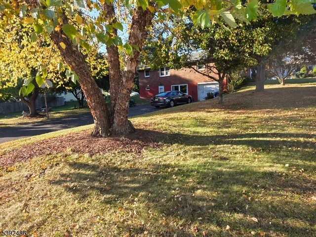 a front view of a house with a yard and large trees