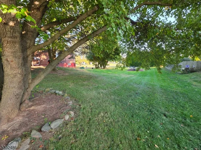 a big yard with lots of green space and fountain