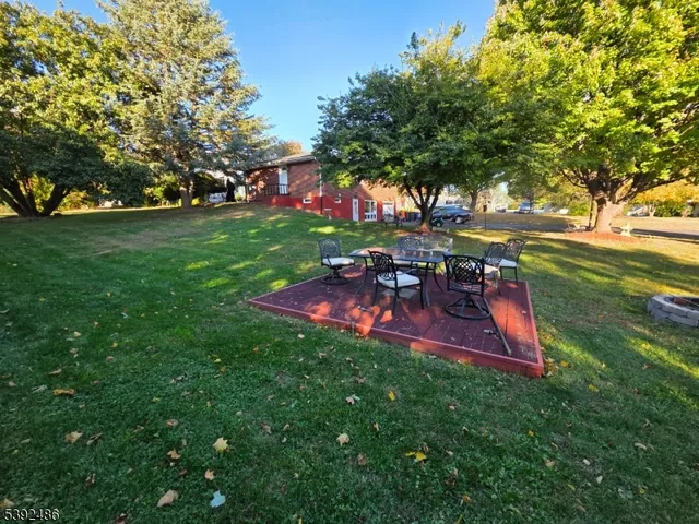 a view of a park with bench and a large tree