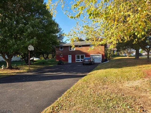 a street view with large trees