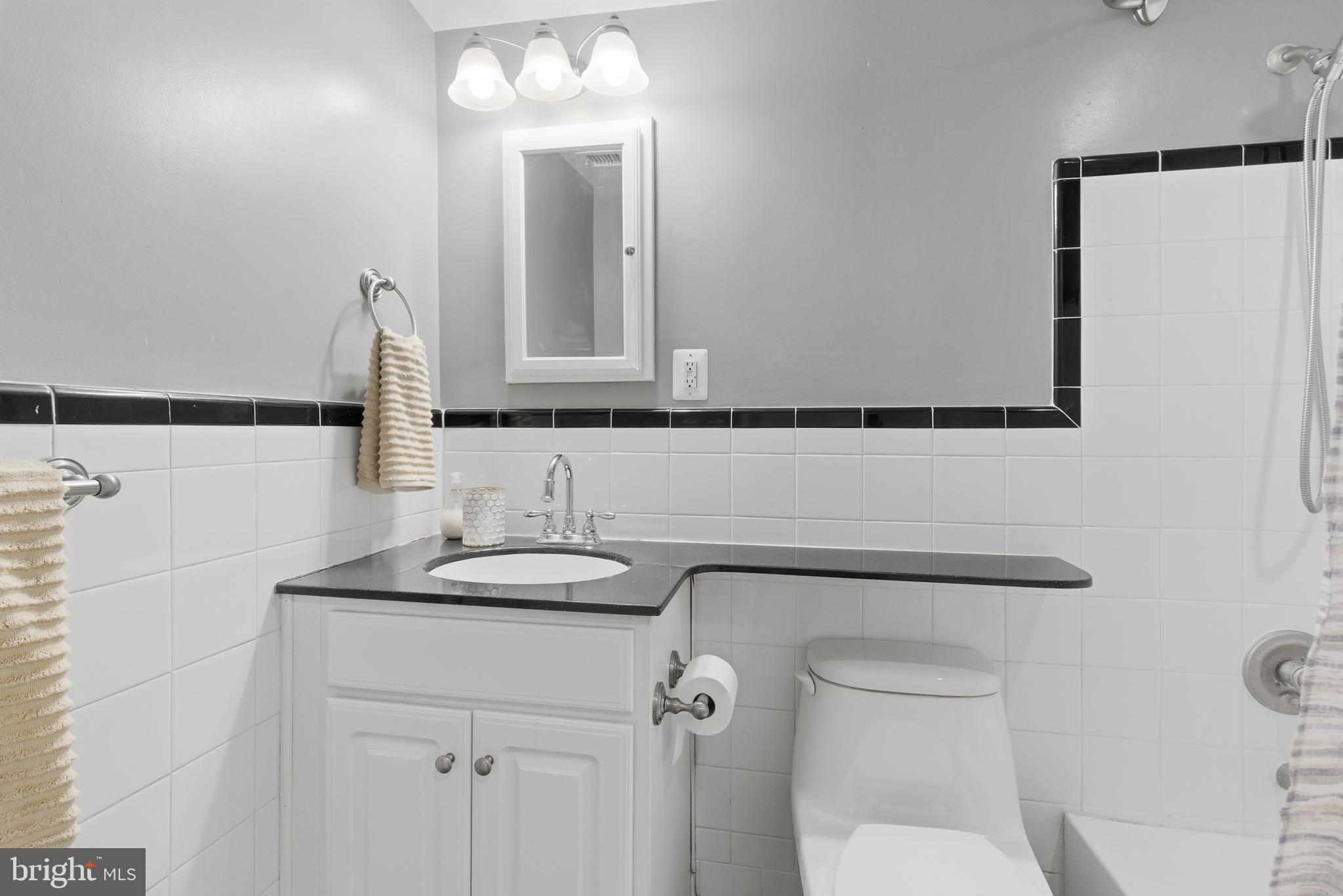 101 North Carolina Avenue Southeast, Unit G Washington, DC 20003 - Photo 13 of 17 a bathroom with a sink a toilet and mirror