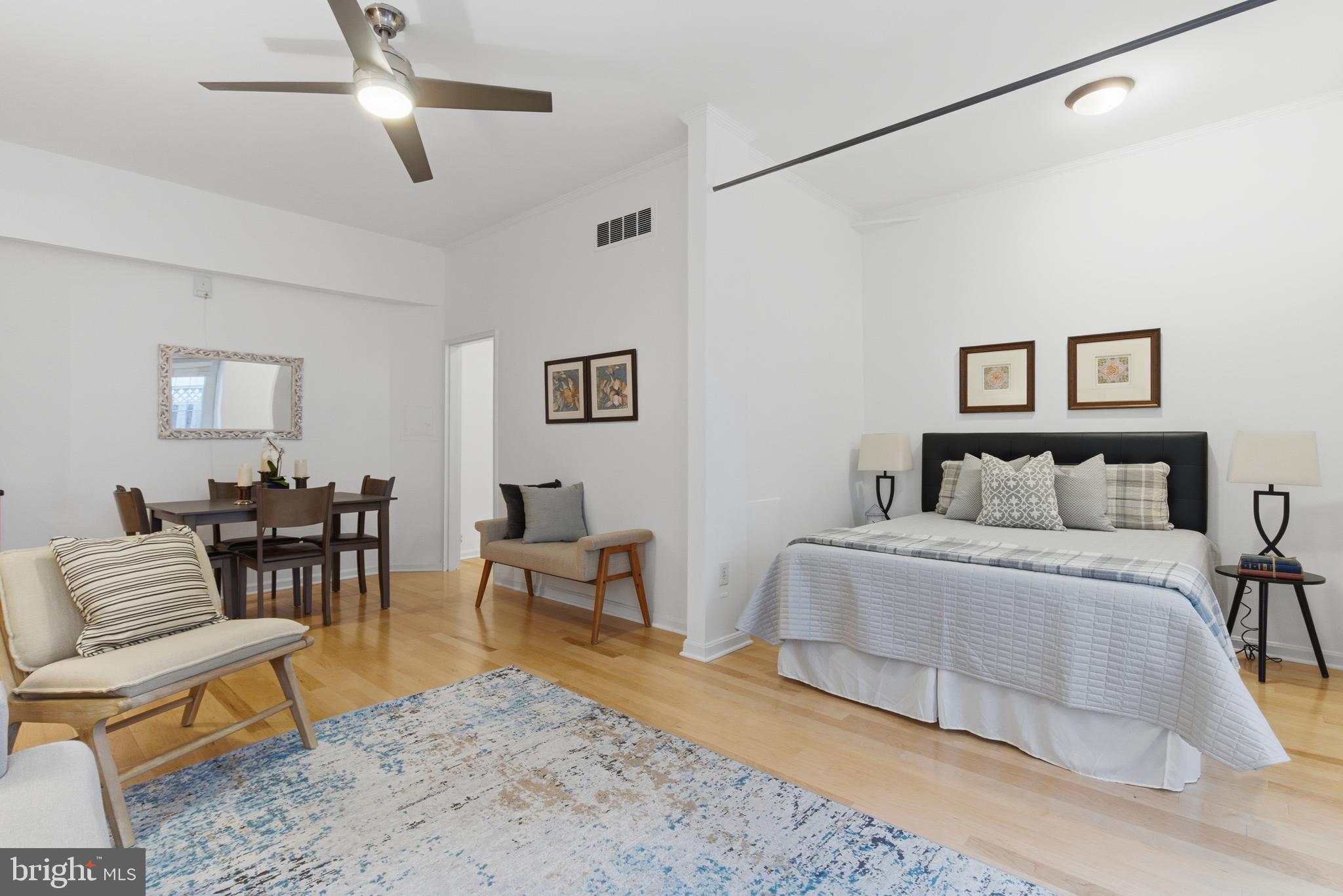 101 North Carolina Avenue Southeast, Unit G Washington, DC 20003 - Photo 8 of 17 a spacious bedroom with a bed a couch and potted plant on the dresser