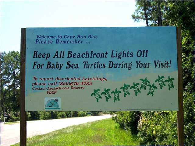 Lot 9 Cape San Blas Road Port St. Joe, FL 32456 - Photo 14 of 15