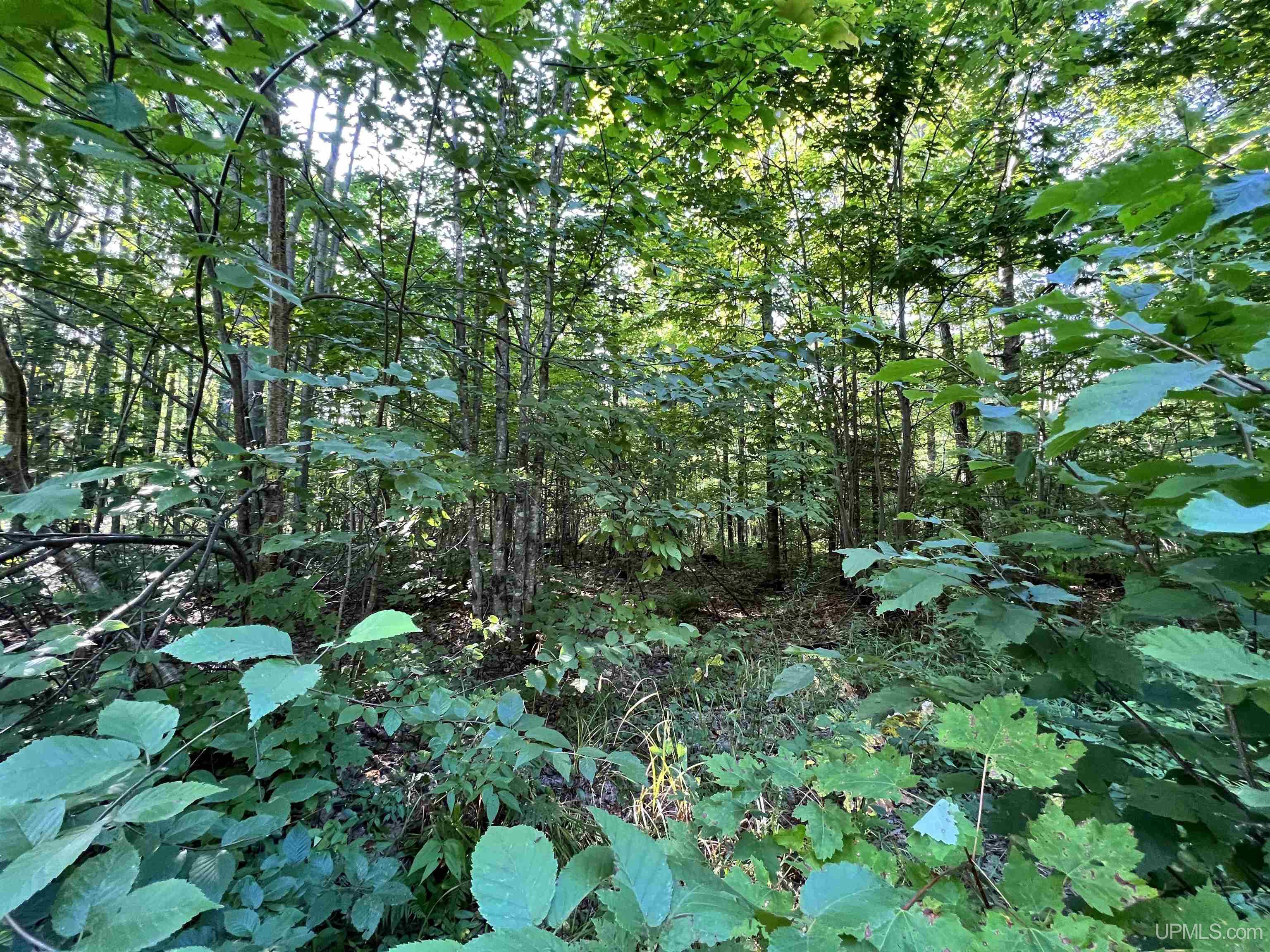 67-68 69 Brown Road Pelkie, MI 49952 - Photo 2 of 9