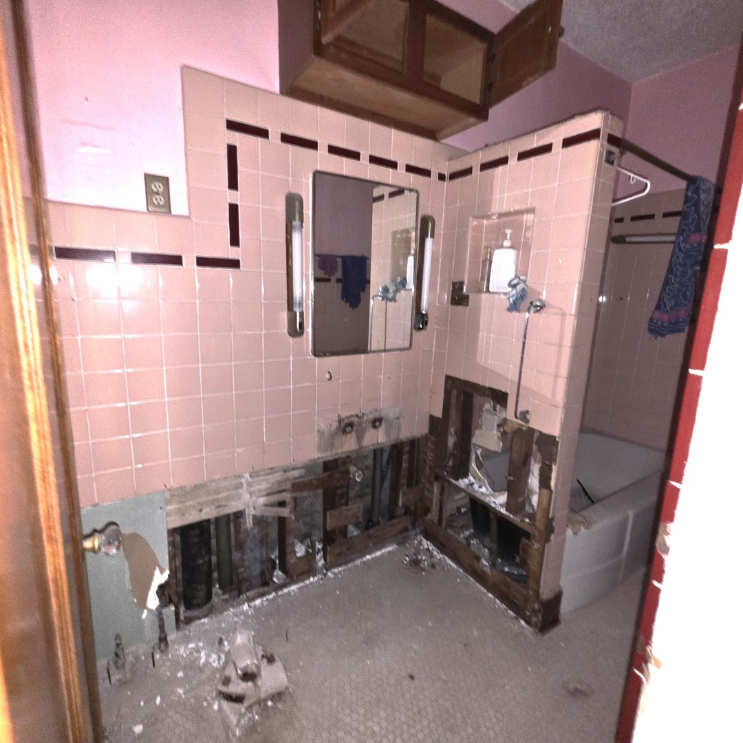 7357 South Halsted Street Chicago, IL 60621 - Photo 14 of 17 Gallery Image 14