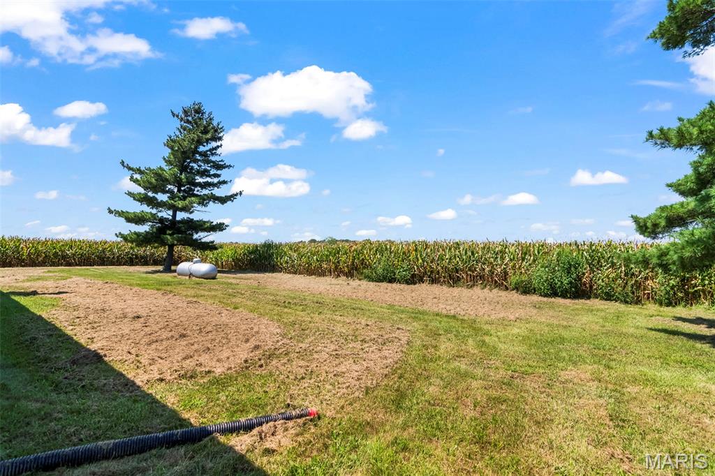 23946 Grosenheider Road Litchfield, IL 62056 - Photo 23 of 35 Gallery Image 23