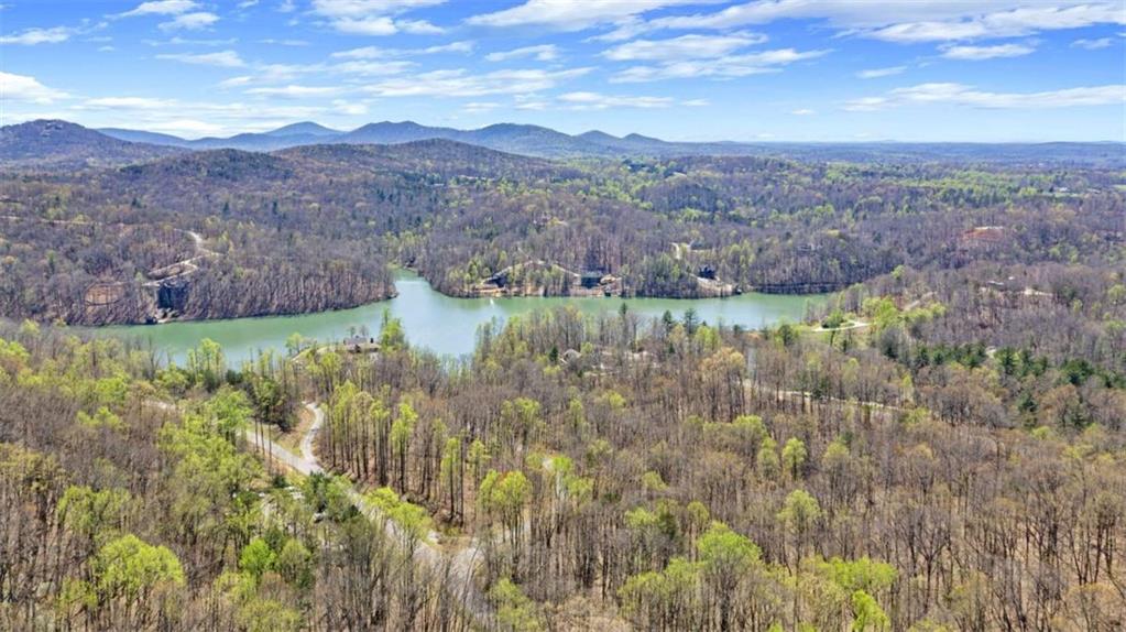 253 North Laceola Road Cleveland, GA 30528 - Photo 18 of 21