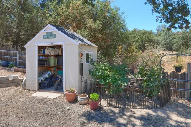 a view of a dry yard with lots of trees