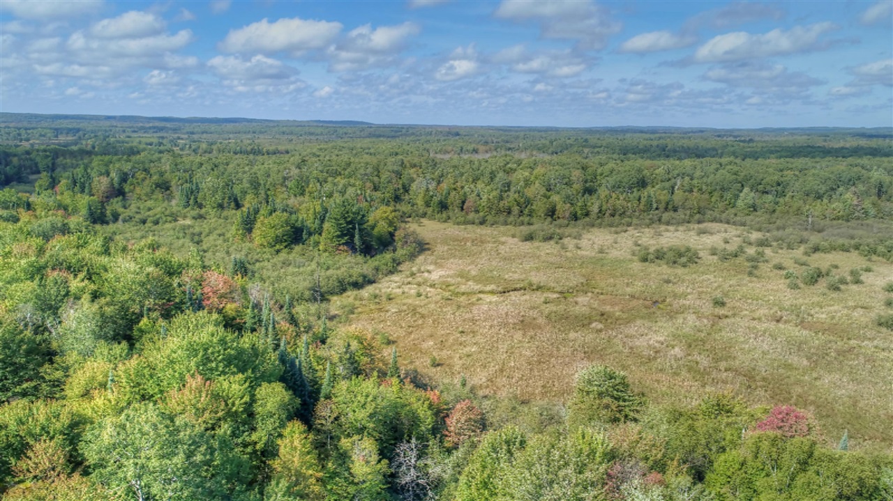 779 North Sharon Road Southeast Fife Lake, MI 49633 - Photo 21 of 27