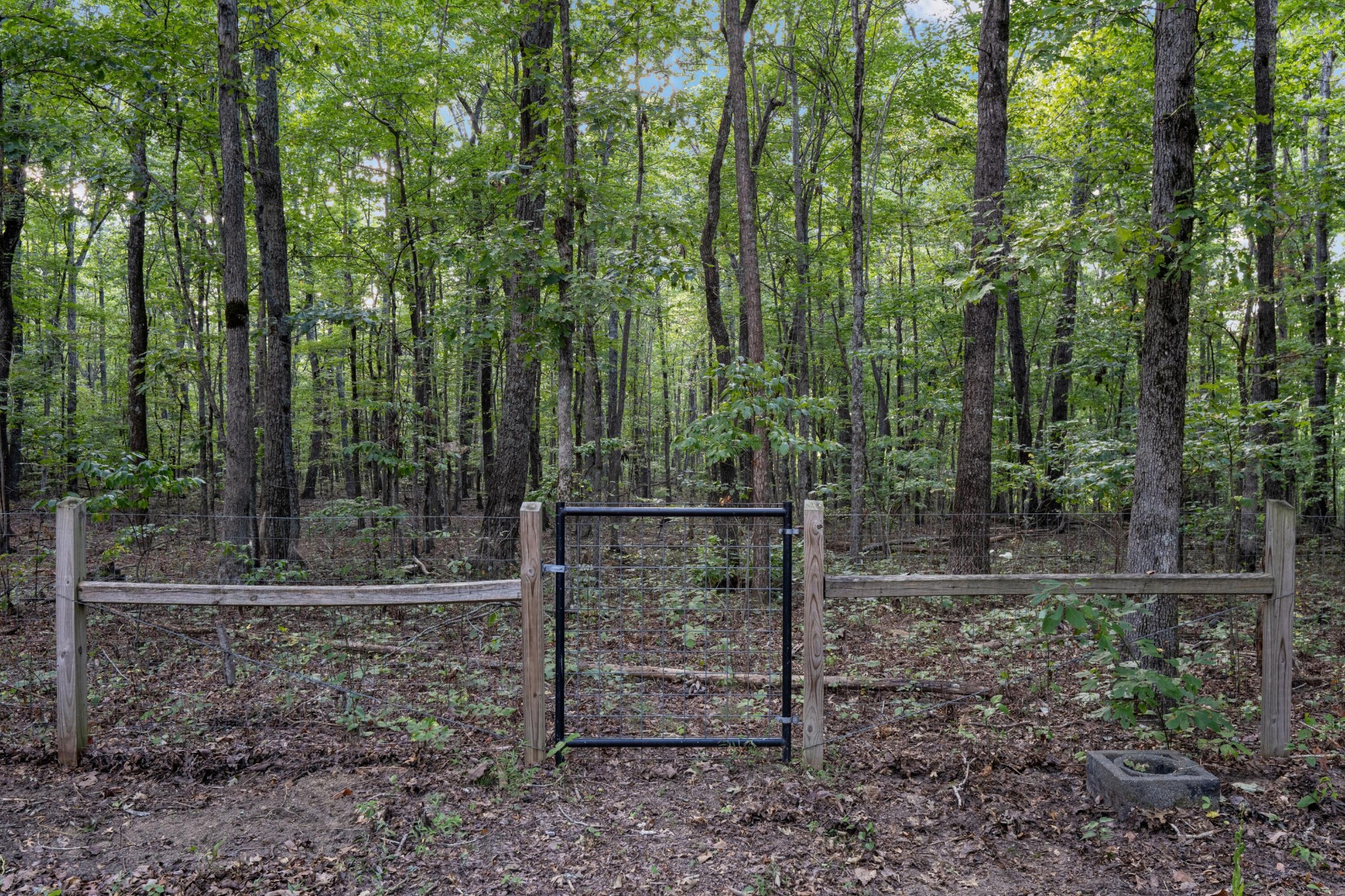 235 Flat Branch Road Tracy City, TN 37387 - Photo 47 of 53 Gallery Image 47