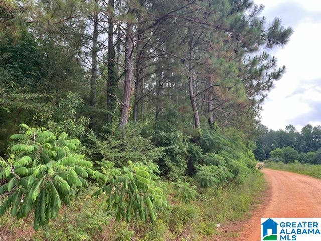 0 County Road 92, Unit X Graham, AL 36263 - Photo 1 of 13