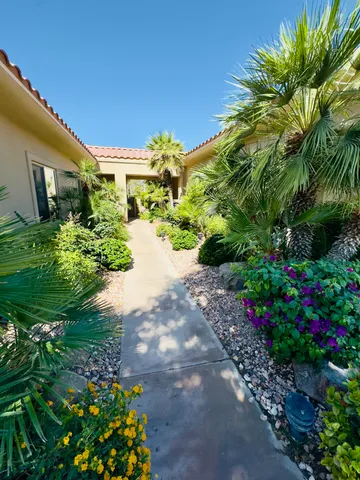 a view of a garden with plants