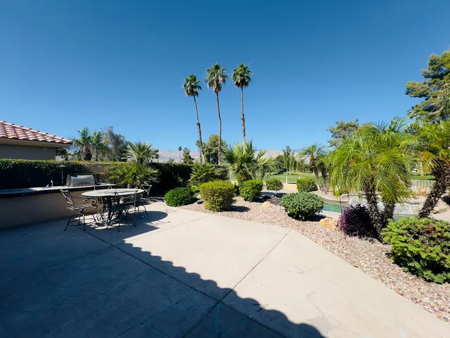 a view of a backyard with plants and a patio