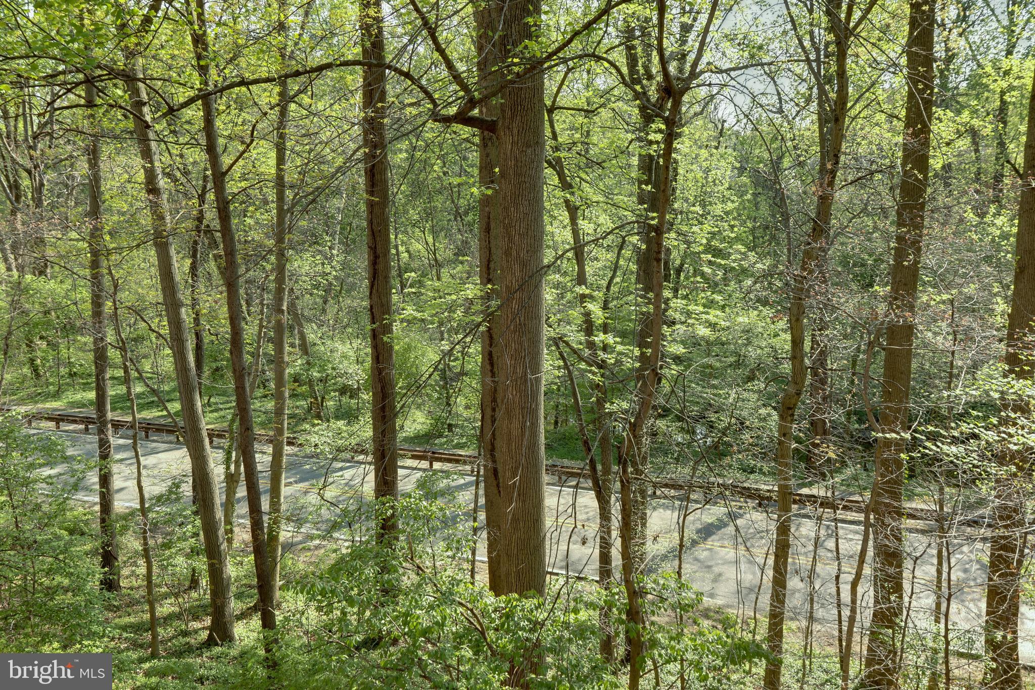 8718 Manchester Road, Unit 7 Silver Spring, MD 20901 - Photo 21 of 23