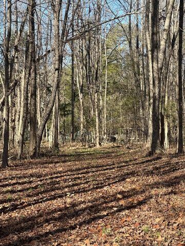 4 Northwest Lower River Road Charleston, TN 37310 - Photo 4 of 4 Gallery Image 4