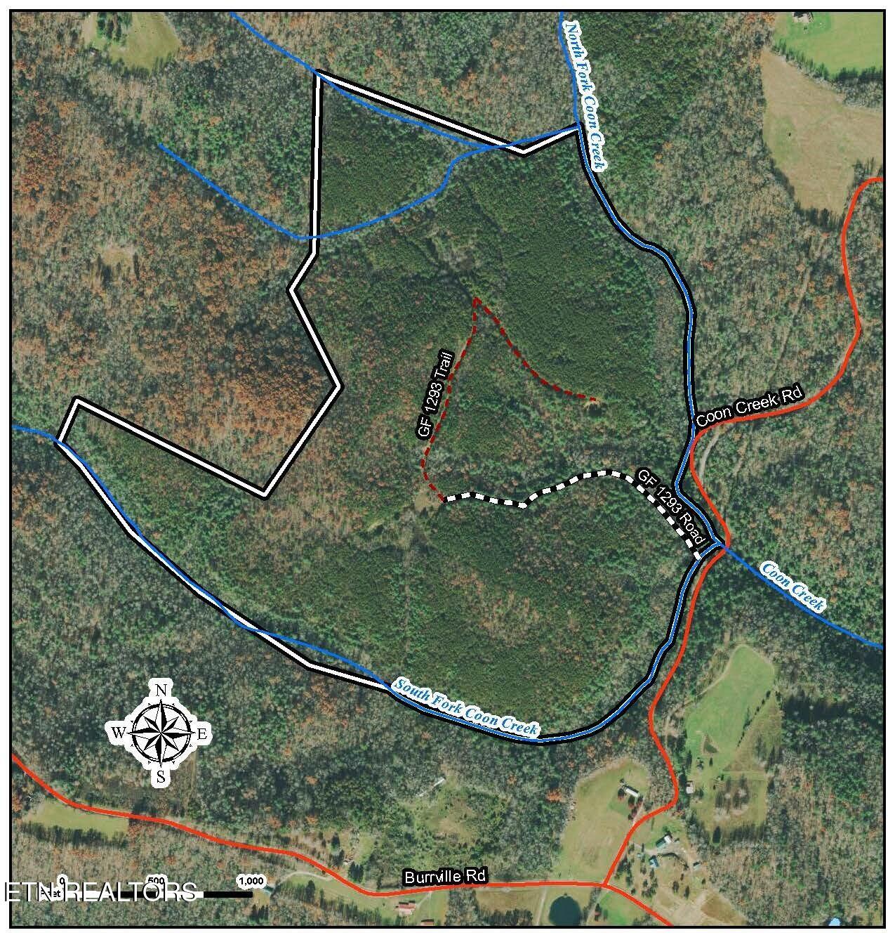 154 Coon Crk Road Sunbright, TN 37872 - Photo 1 of 4 737_GF-1293-Aerial
