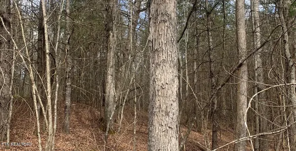 $423,500 | 154 Coon Crk Road, Sunbright, TN 37872