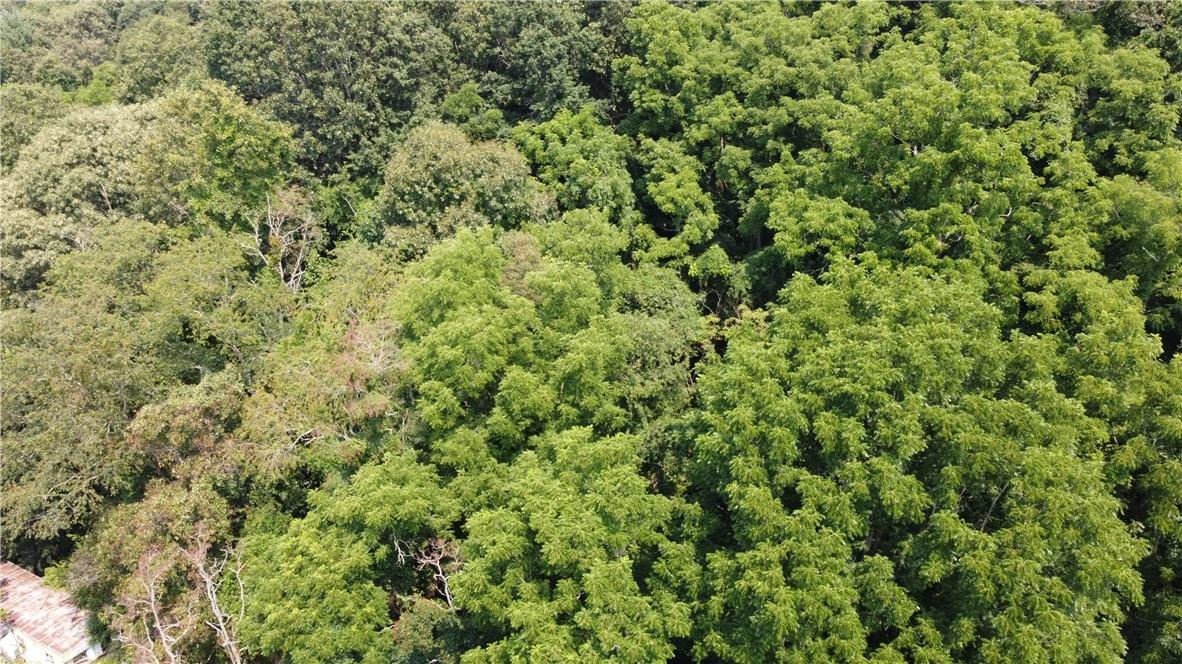 Tbd England Road Canton, NC 28716 - Photo 2 of 9 a view of a large yard with lots of green space