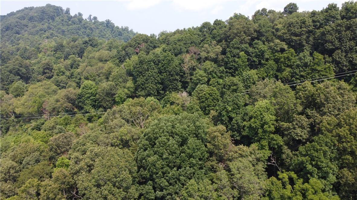 Tbd England Road Canton, NC 28716 - Photo 5 of 9 an aerial view of a house with a yard