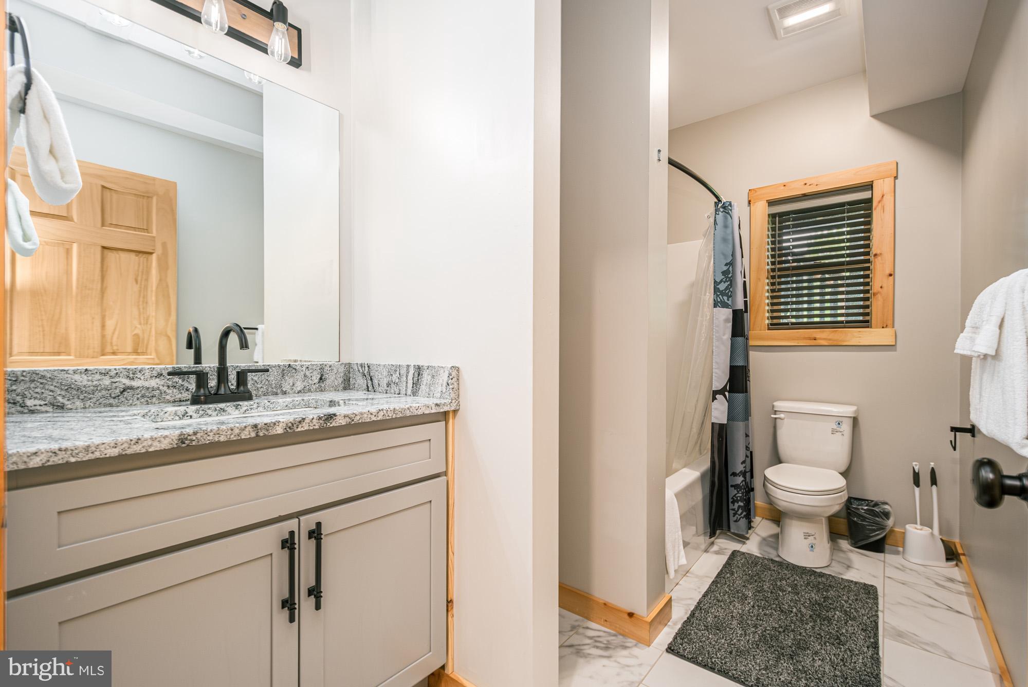 966 Fork Run Trail McHenry, MD 21541 - Photo 30 of 50 a bathroom with a granite countertop sink a toilet and a mirror