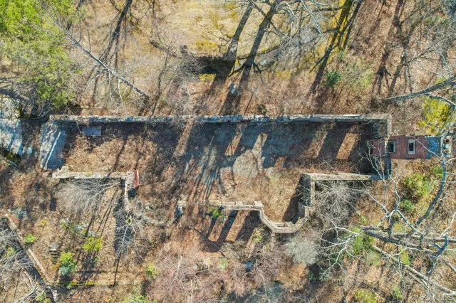 a view of a yard with plants