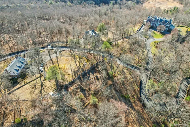 a view of a dry yard with green space